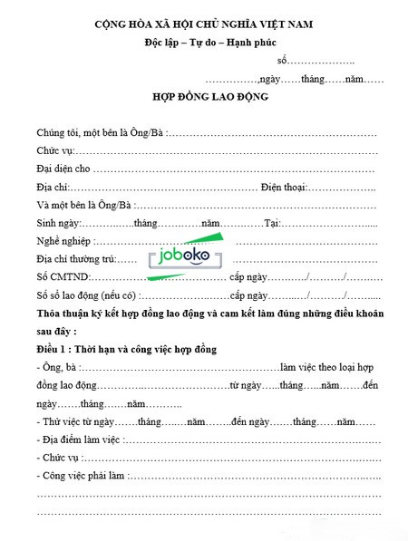 mau hop dong lao dong