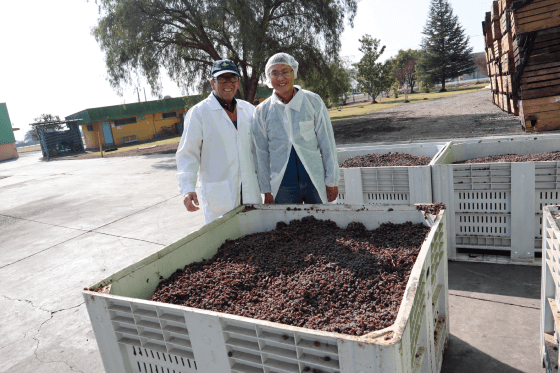 cong ty TNHH Trading Perfect Partner