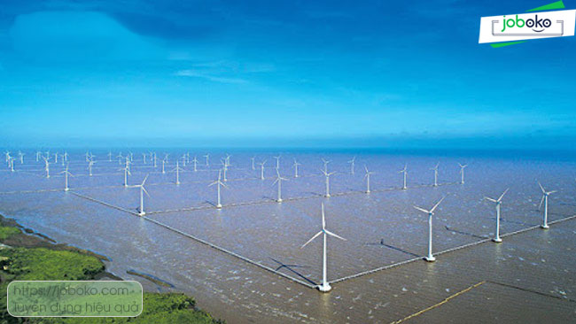 kinh nghiem tim viec lam tai bac lieu 2