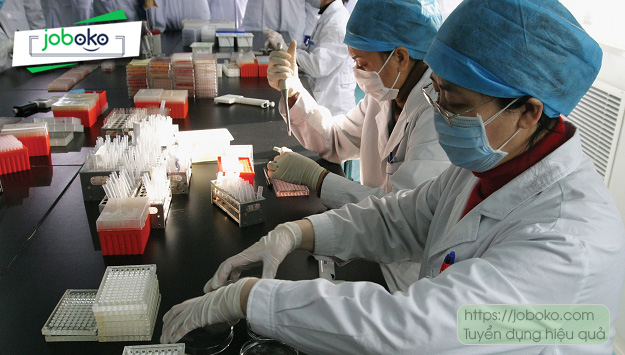 mo ta cong viec cua nhan vien iso 2