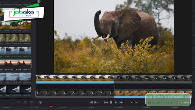 viec lam lien quan den video dung phim 2
