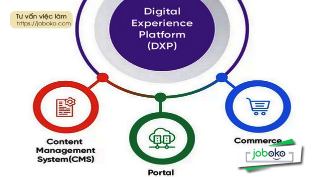digital experience platform dxp la gi so sanh dxp cms va wem 3
