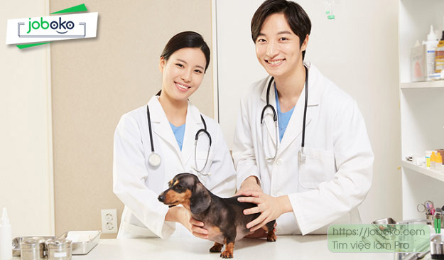 hoc thu y ra lam gi 2