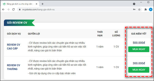 cach mua va su dung goi review cv joboko 3