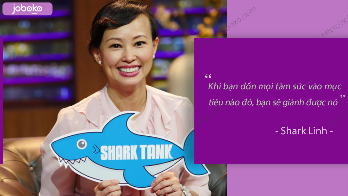 shark linh 3