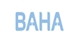 Công Ty Cổ Phần Bahavn Việt Nam