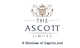 Accountant - Account Payable