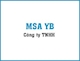 Công ty TNHH MSA YB