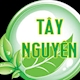 CÔNG TY TNHH THỰC PHẨM TÂY NGUYÊN XANH