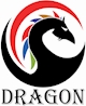 DRAGONS TRADING INVESTMENT COMPANY LIMITED