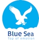Công ty Cổ phần Bao bì Blue Sea