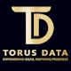 Công Ty Torus Data